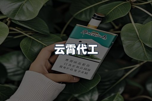 云霄代工